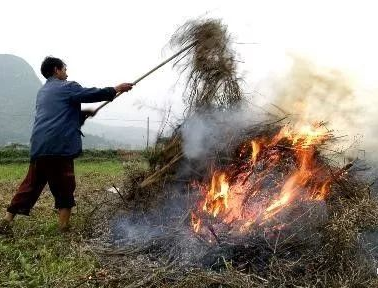 你年年都想燒的秸稈，今年可以吃票子了！