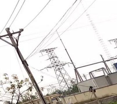 看看這些電力人的春季巡檢！