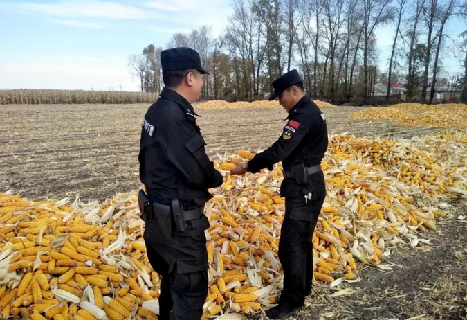 禁燒秸稈走田間、共鑄警魂保藍(lán)天